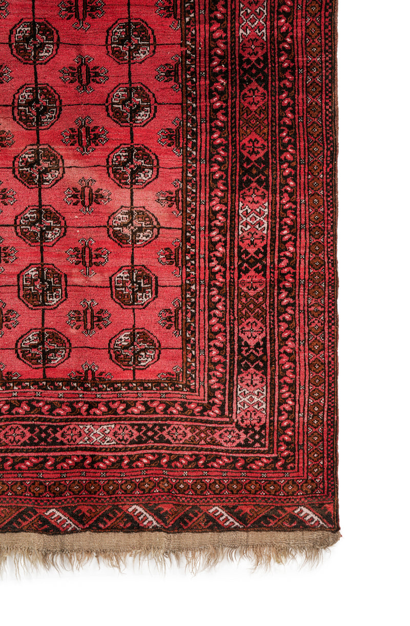 Vintage Turkmen Tekke Rug 6'2" x 3'5"